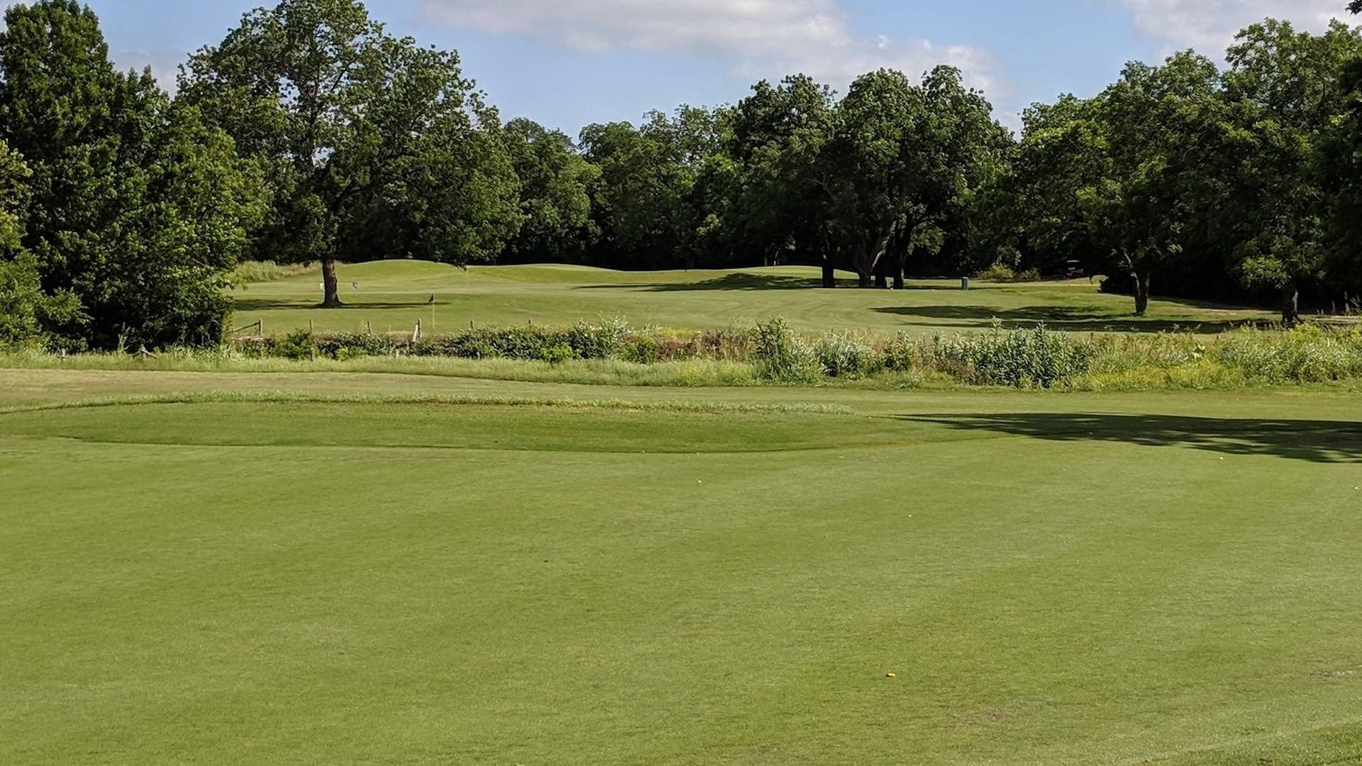 Green and surrounding trees at Harvey Penick Golf Campus in Austin, Texas.